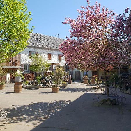 Besondere Ferienwohnung Spirit Auf Idyllischem Reiterhof Nahe Burg Eltz Münstermaifeld Dış mekan fotoğraf