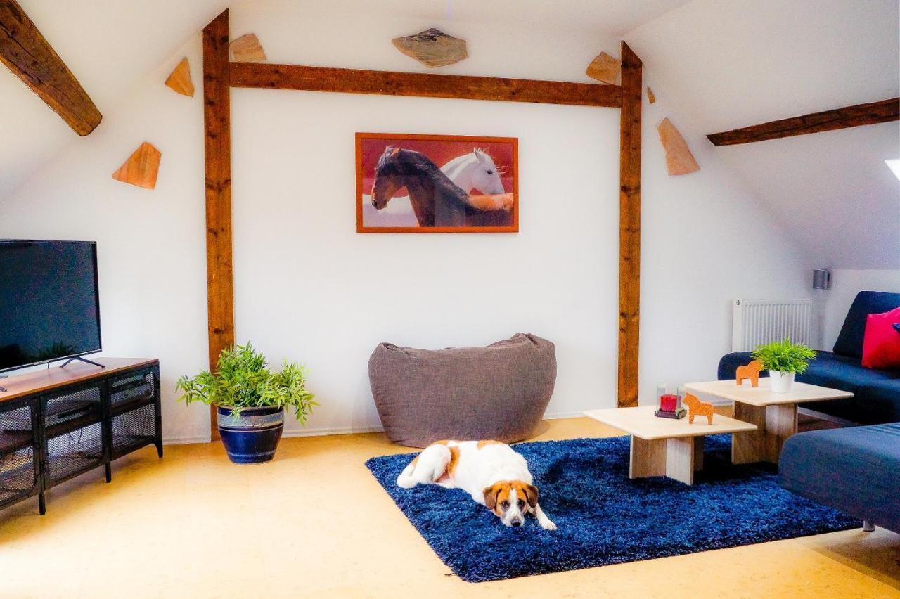 Besondere Ferienwohnung Spirit Auf Idyllischem Reiterhof Nahe Burg Eltz Münstermaifeld Dış mekan fotoğraf