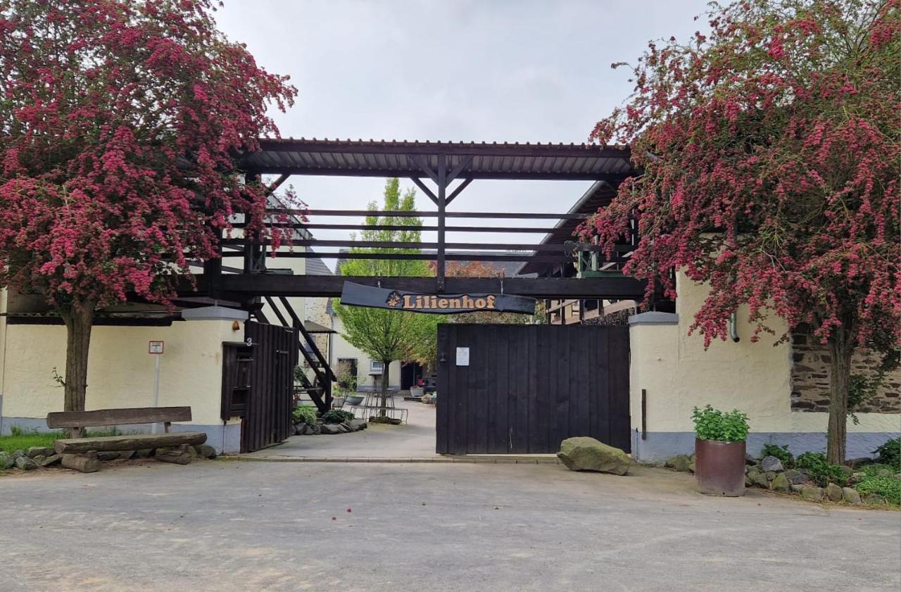 Besondere Ferienwohnung Spirit Auf Idyllischem Reiterhof Nahe Burg Eltz Münstermaifeld Dış mekan fotoğraf